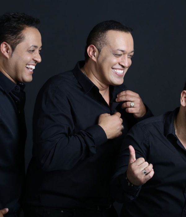 הפרויקט של רביבו